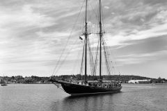 The Bluenose II schooner, Lunenburg, Harbour, Nova Scotia, Canada