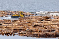 Logs sorting at Telegraph Cove, Vancouver Island, Canada Photo: Peter Llewellyn