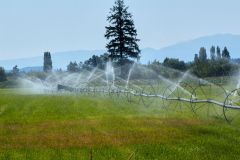 Crop Irrigation Comox Valley Vancouver Island Canada