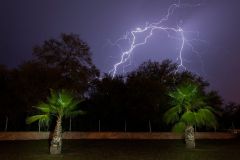 Lightning storm over lightpainted palm trees, Matehuala, San Luis Potosí, Mexico.