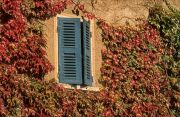 Shutters and Vines,Provence, France