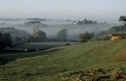 Mist on the Bourgogne Countryside   Photo: Peter Llewellyn