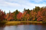 Fall colours as leaves turn to reds and golds in the trees over the Petite Rivierre river, Nova Scotia, Canada