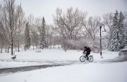 Cyclist braves a spring snowstorm, Princess Island Park, Calgary, Alberta, Canada