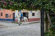 A young Mexican boy rides a grey horse through the streets of Ajijic, Jalisco, Mexico