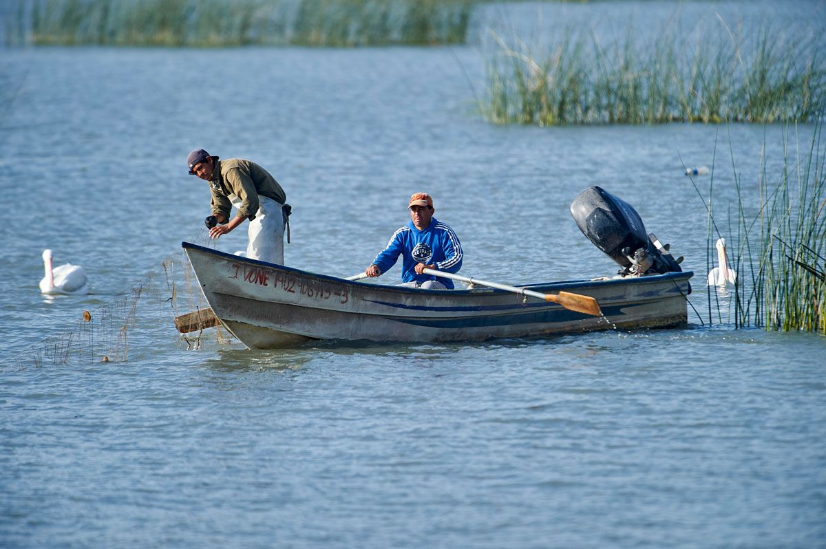 Fishermen at work on Lake Chapala, Ajijic, Jalisco, Mexico, Lake Chapala is the biggest freshwater lake in Mexico