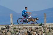 Mexican boy cycling along and his dog on the Malecon at Lake Chapala, Jocotopec, Jalisco, Mexico