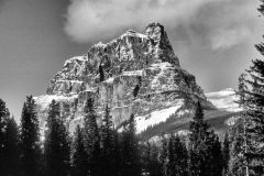 Castle Mountain from the Bow Valley parkway   Photo: Peter Llewellyn