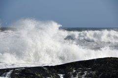 Stormy seas after tropical cyclone passed through Nova Scotia, Cherry Hill Arties Cove, Nova Scotia, Canada