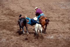 Calgary Exhibition and Stampe Rodeo, July 2000