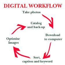 Digital workflow chart